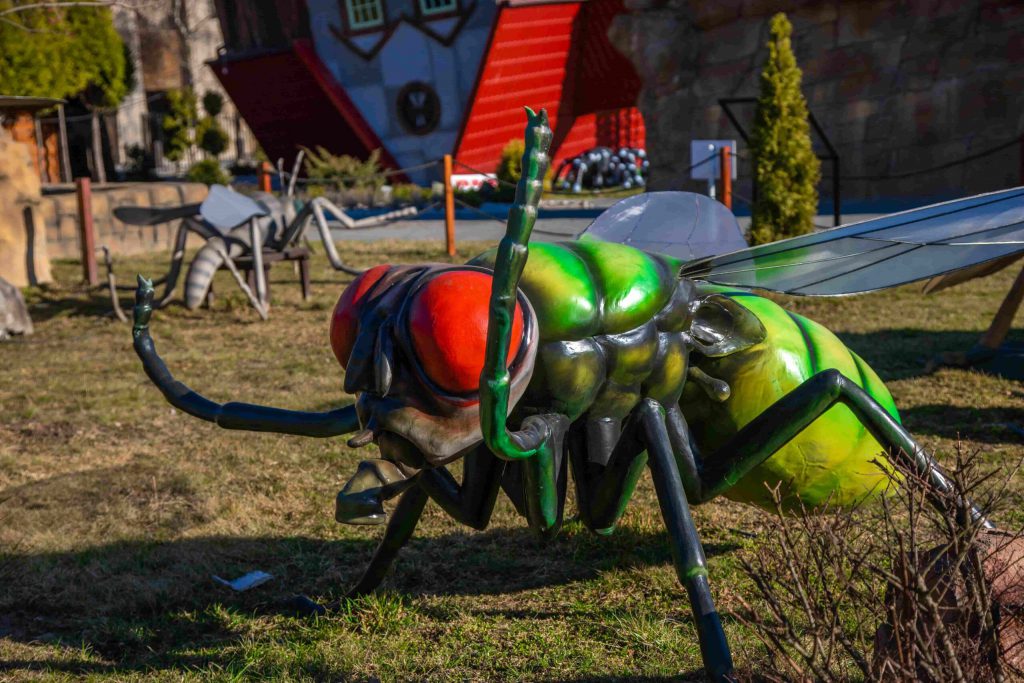 Long Fast Moving Insect New moving insects - Zatorland EN