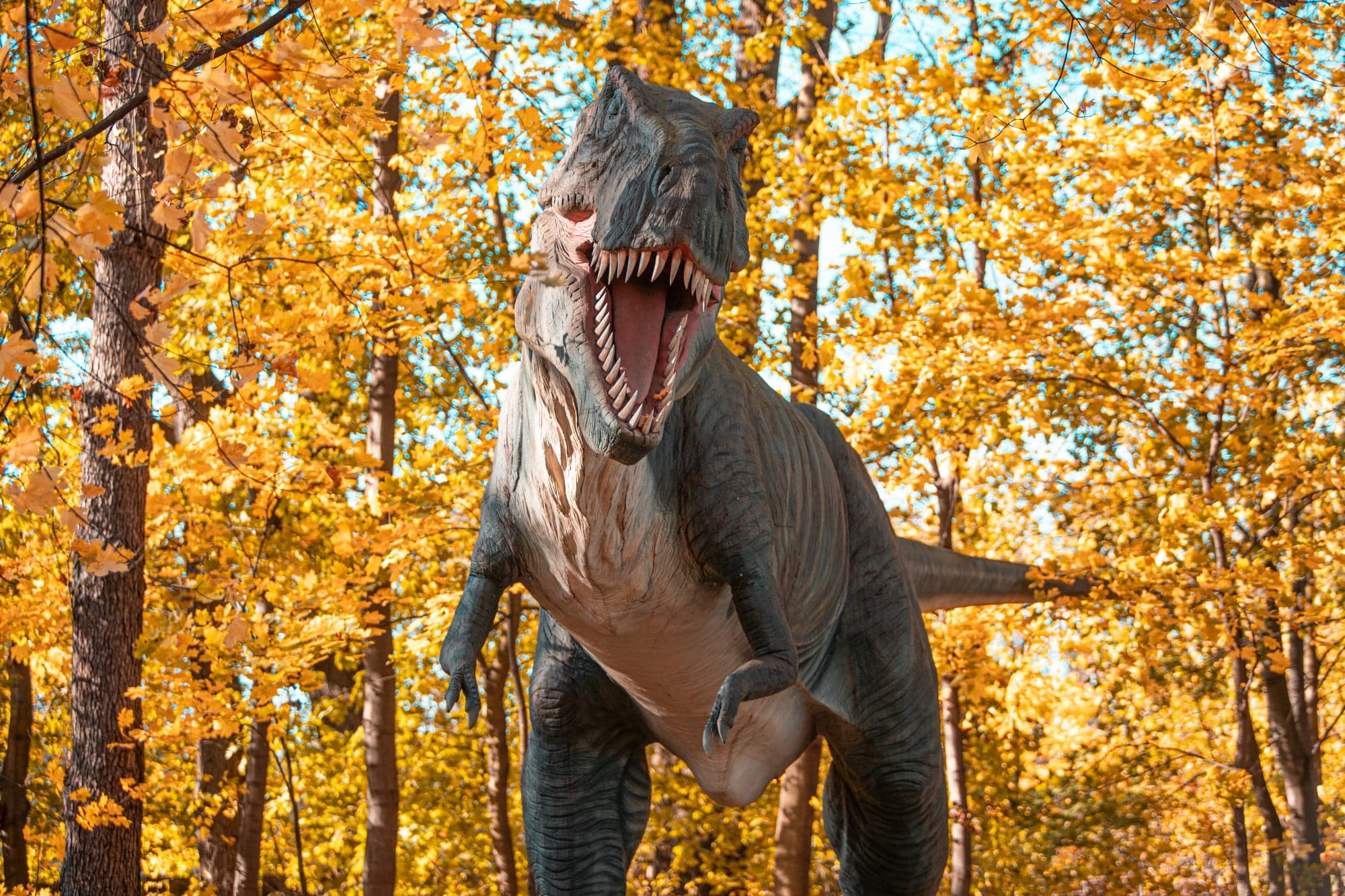 Ruchomy Dinozaur jesienią w parku rozrywki zatorland