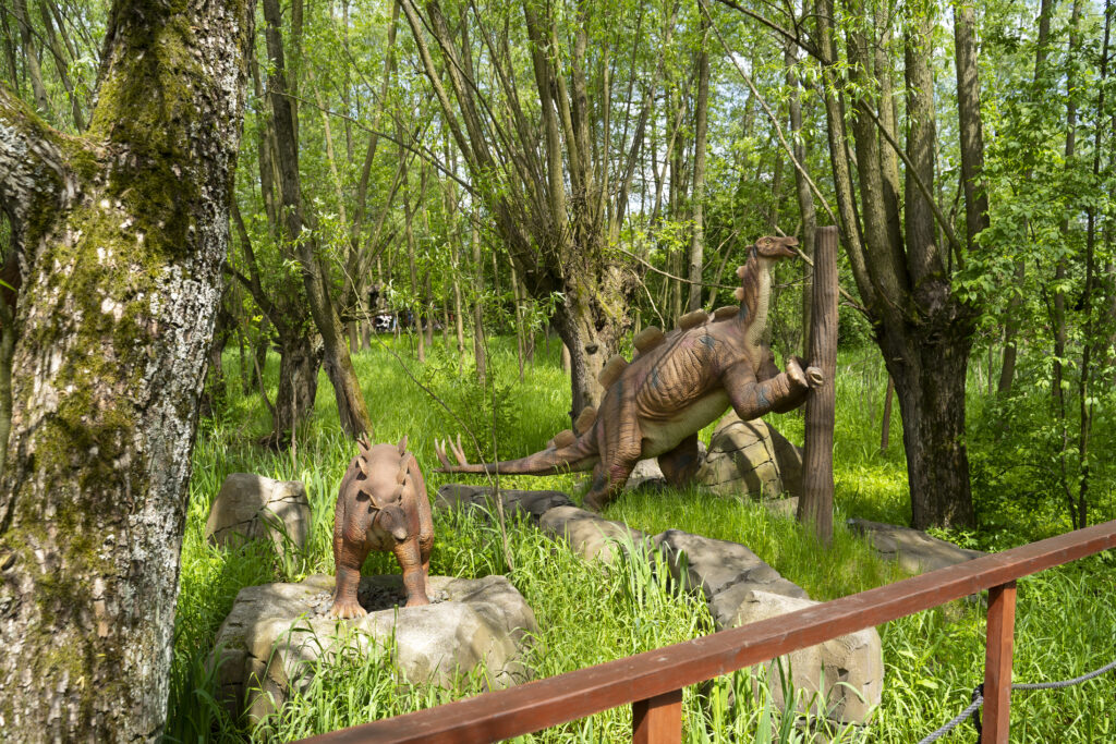 stegozaury w parku dinozaurów