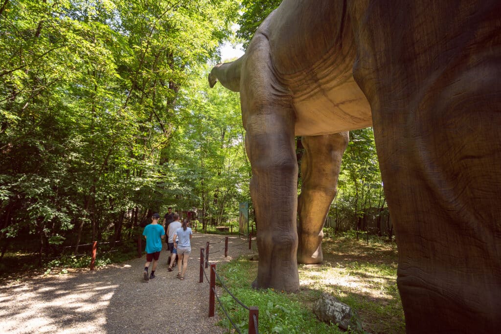 grupa zwiedzająca park dinozaurów Zatorland