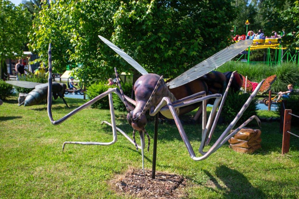 Komar w Zatorlandzie