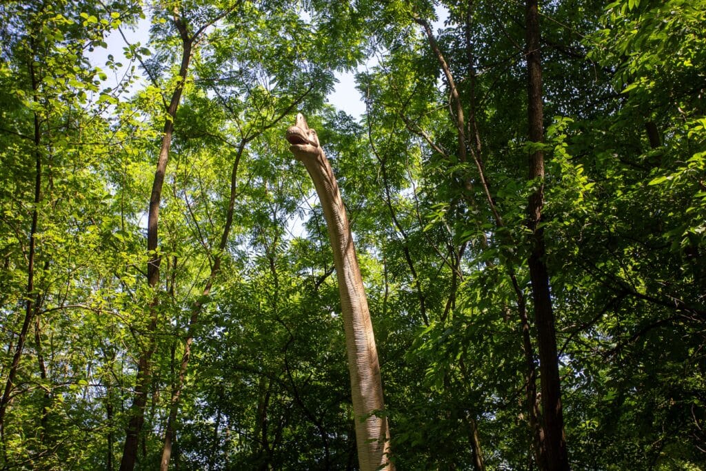 Głowa Brachiozaura w Parku Dinozaurów Zatorland