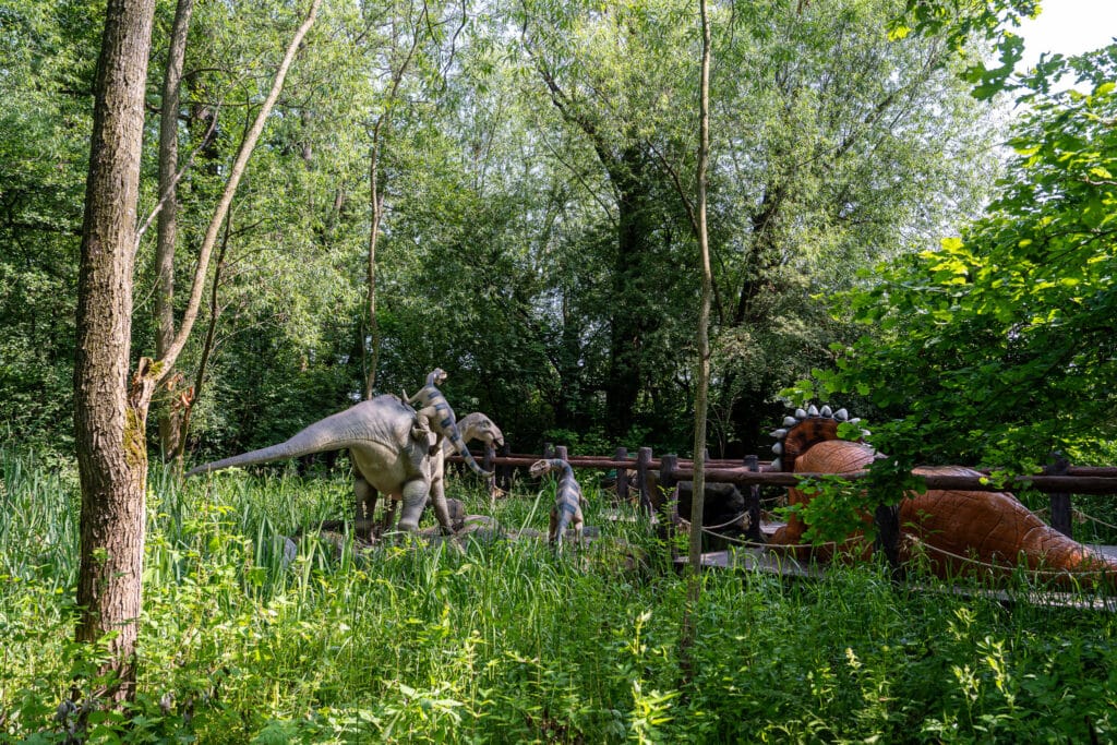 różne gatunki dinozaurów w Zatorland