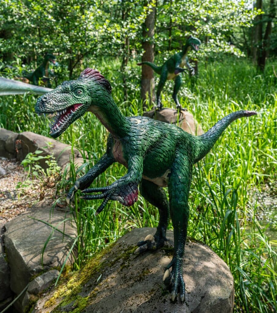 Velociraptor