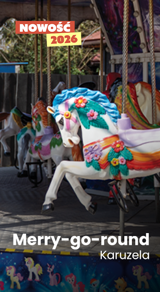 26-02_Zatorland_Banery-www_Merry-go-round_330x600_KŁ_001